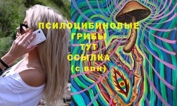 герыч Арсеньев