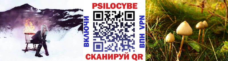 дарнет шоп  Циолковский  Галлюциногенные грибы GOLDEN TEACHER 